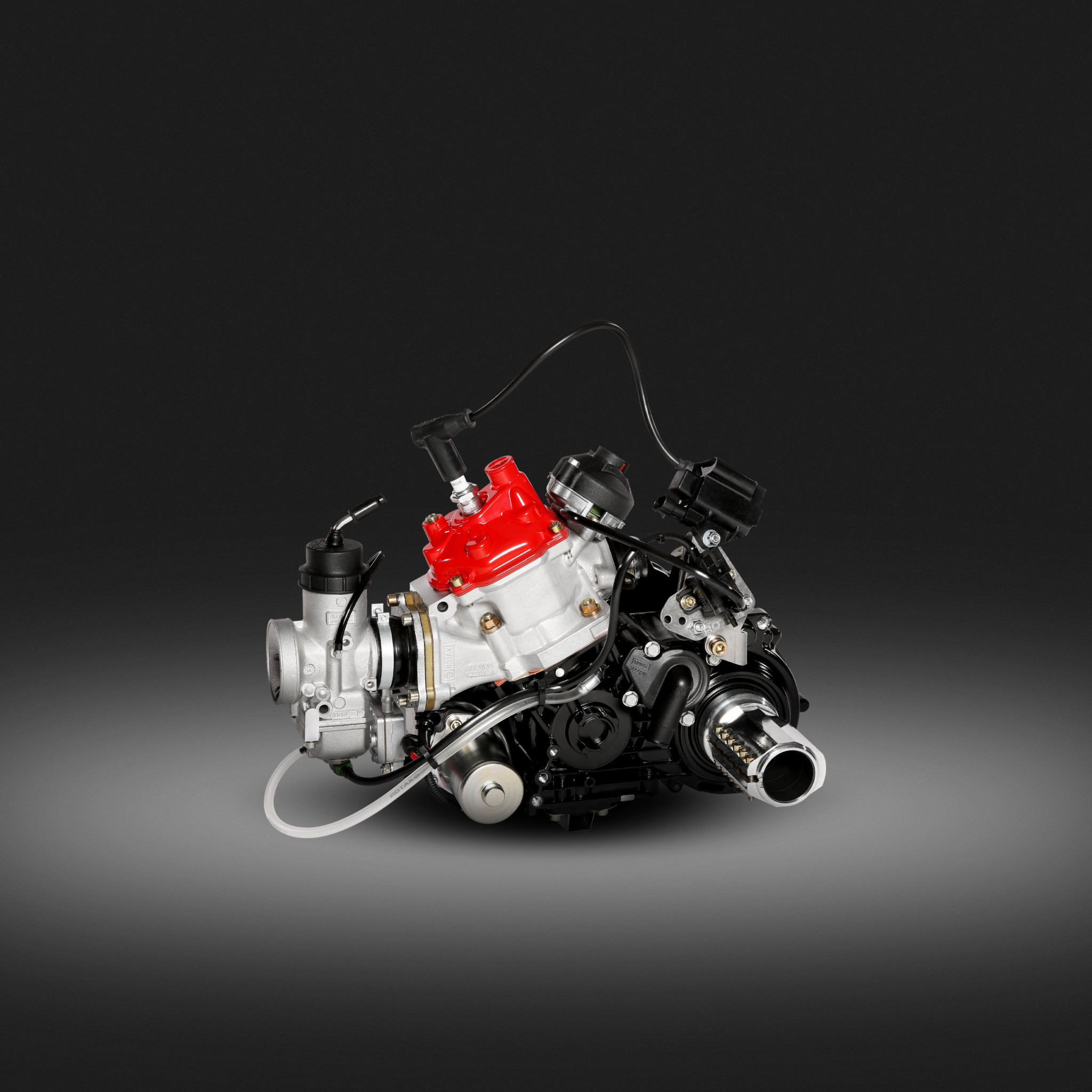 Questions & Answers About The Rotax 125 MAX EVO Engine