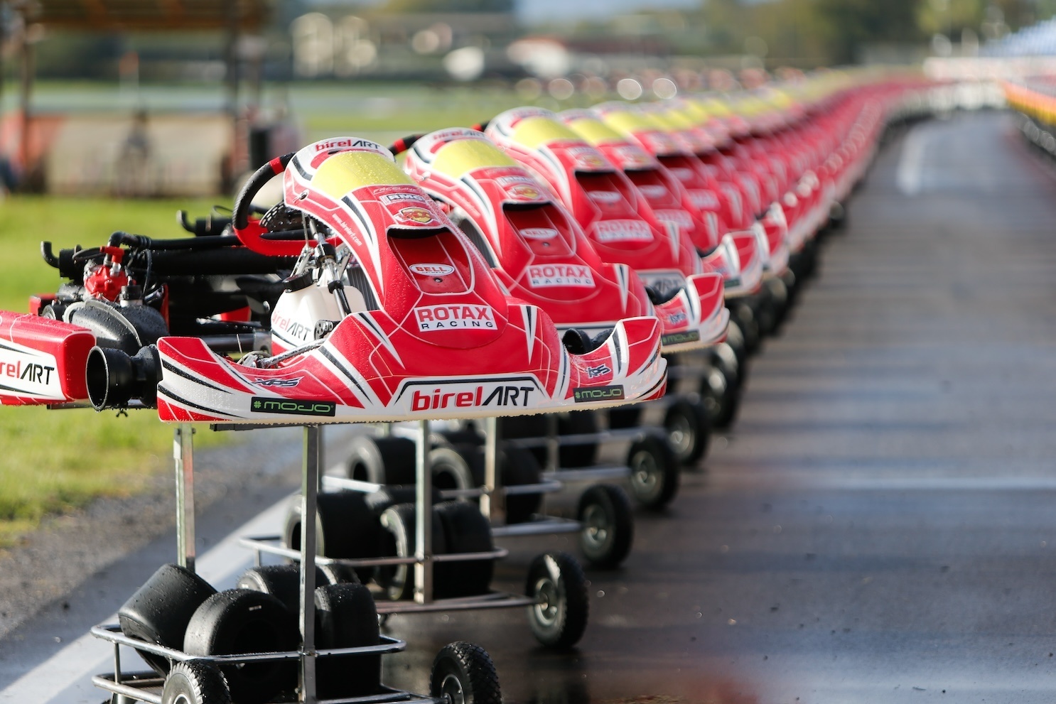 RMCGF24 20241020 Chassis Birel Kart 1